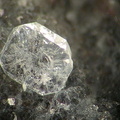 Fluorapophyllite cristal 1,3mm (AM).jpg