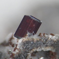 Pseudobrookite cristal 1,1mm Ravine Prudent Cilaos (AM).JPG