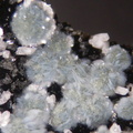 Truscottite Fluorapophyllite - Bras de Cilaos - La Réunion 