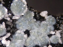 Truscottite Fluorapophyllite - Bras de Cilaos - La Réunion 