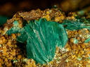 Chalcophyllite - Cyanotrichite - Mine de Salsigne - Salsigne - Carcassonne - Aude