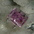Fluorite - St Péray - Ardèche - JCC - Taille du cristal 3 mm.jpg