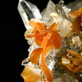 Quartz - Sidérite -  La Mure - Isère - JCC -Taiile des cristaux 6 mm.jpg
