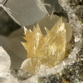 Calcite - Bras Cilaos - Ile de la Réunion - JCC - Cristal 3 mm.jpg