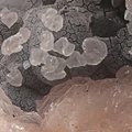 calcite (mangano) 5418 champ 3,4mm.jpg