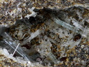 n°112141 - Esseneite  Fluorapatite Tridymite - Terril Ouest "Bodard" - Lapanouse de Sévérac - Aveyron