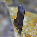 2579-pseudobrookite-Tunisset chp2,7mm_J.Luc.jpg