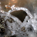 Halotrichite, Pyrite  Soyons 07 - 4,5mm photo G LANDON xxxaa.jpg