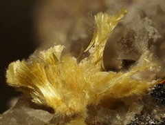 Mimétite fibreuse (Prixite) - les Molérats - Saône et Loire