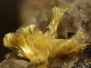 Mimétite fibreuse (Prixite) - les Molérats - Saône et Loire