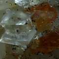 calcite 'haltère' 9800 et monazite-(Ce) champ 3mm.jpg