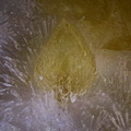 143101 Natrolite calcite RN88 FDéviation du Puy Champ 4,10 mm.jpg