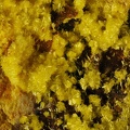 Uranopilite - Bigay - Lachaux - Puy de dôme