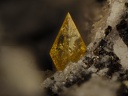 Titanite Magnetite - Ravin des Chomets - Mont-Dore - Puy de Dôme
