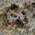 Magnetite Enstatite - Roc de Courlande - Chastreix - Puy-de-Dôme