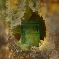 Autunite Torbernite - Bigay - Lachaux - Puy de dôme
