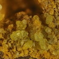 autunite uranophane bigay Lachaux Puy de dome  ch1.8mm.jpg