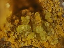 Autunite Uranophane - Bigay - Lachaux - Puy de dôme