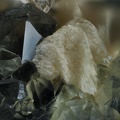 siderite quartz Peyrebrune Montredon-labessonie Tarn ch2.8mm.jpg