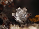 Tridymite Calcite Sidérite - Les Chazes - St Jacques-des-Blats - Cantal 