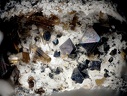 Magnétite Fluoro-édénite - Roc de Courlande - Chastreix - Puy-de-Dôme
