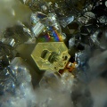 Iodargyrite-Le Bastit-Najac-Aveyron-JCD-champ 0,5mm.jpg