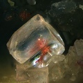 Fluorite-Carriere de la cote Rousse-Vensat-Puy de Dome - YM-champ 2 mm.jpg
