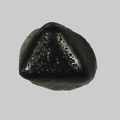 Magnetite - La Loire - Ouzouer-sur-Loire - Loiret - FP - Taille 0,2 mm