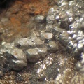 Oxydes de manganèse - Correc d'en Llinassos - Oms - Céret - Pyrénées-Orientales