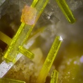wulfenite-pyro morphite 36-22-3    c 0,3mm.jpg