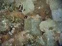 Fluorapatite Titanite Oligoclase - Rocher du Bari - Mercus Gabarret - Ariège
