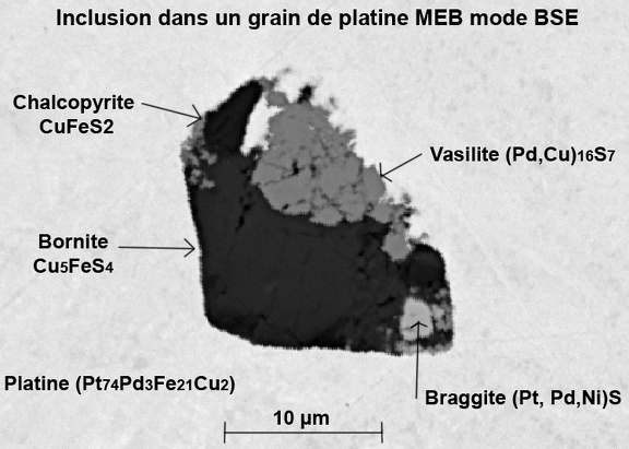 Platine Braggite Vasilite Bornite Chalcopyrite - placer de la rivière Reyssouze - Lescheroux - Ain - BD - champ 0,04mm