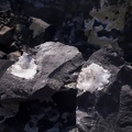  Natrolite - Carrière de basalte au sommet du Pic de Bussiol
