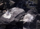  Natrolite - Carrière de basalte au sommet du Pic de Bussiol