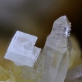 barite-quartz 974-399-1             cv 4mm.jpg