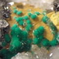 Malachite oxyplumboromeite - Monthaut - Palairac - Aude 