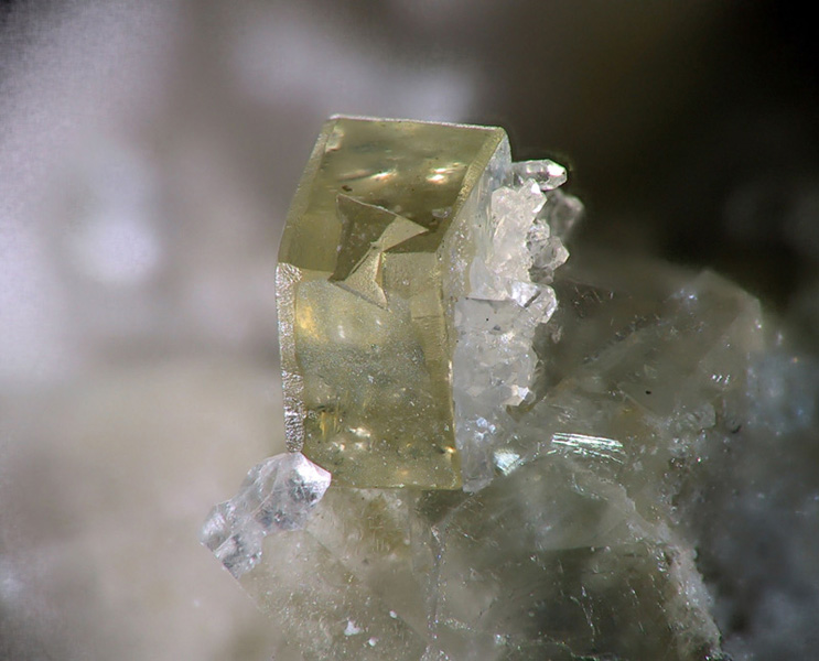 Fluorite - Le Rivet - Peyrebrune - Tarn - GB - champ 3mm.jpg