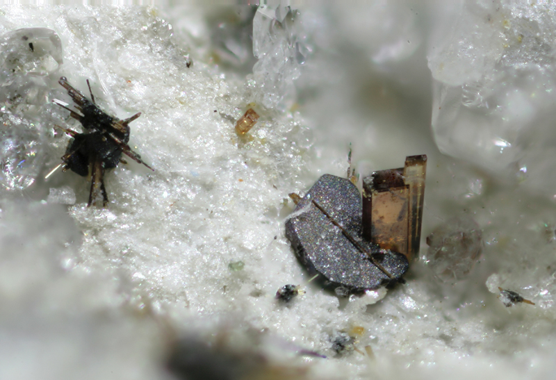 aeschynite hematite rutile - St Christophe en Oisans - Isère - yv - champ 1,36 mm.jpg