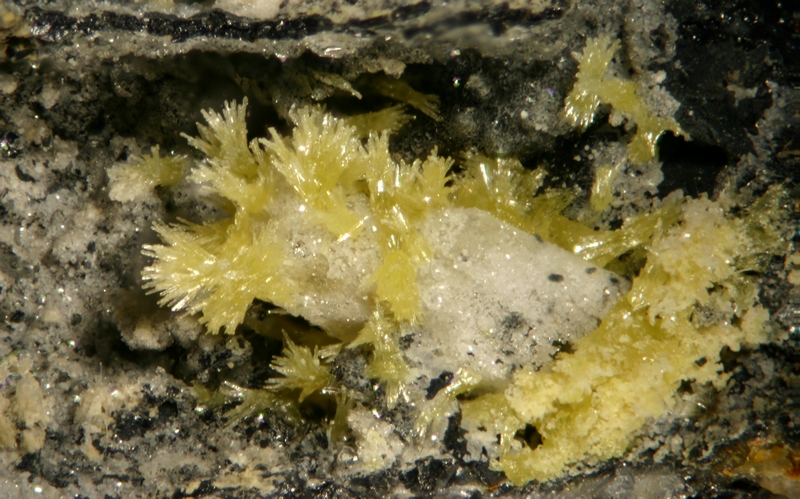 Pyromorphite - Longefay - Rhône - JCC - Cristal 3 mm.jpg