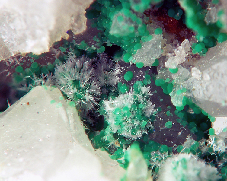 aragonite- malachite- ALZEN- Ariège- JML- champ de 4mm.jpg