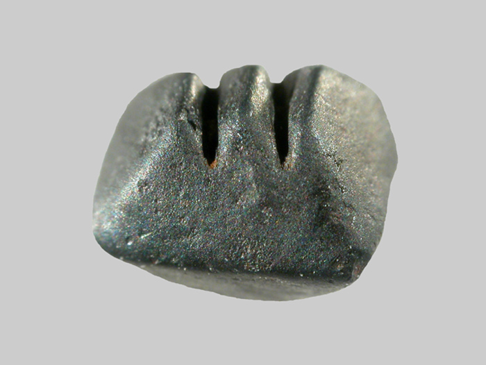 Magnétite - Le Mès - Loudes - Haute-Loire - FP - Taille 2mm.jpg