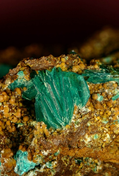 Chalcophyllite - Salsigne - Aude - JCC - Taiile du cristal 3 mm.jpg