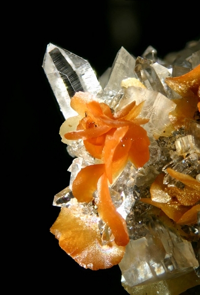 Quartz - Sidérite -  La Mure - Isère - JCC -Taiile des cristaux 6 mm.jpg