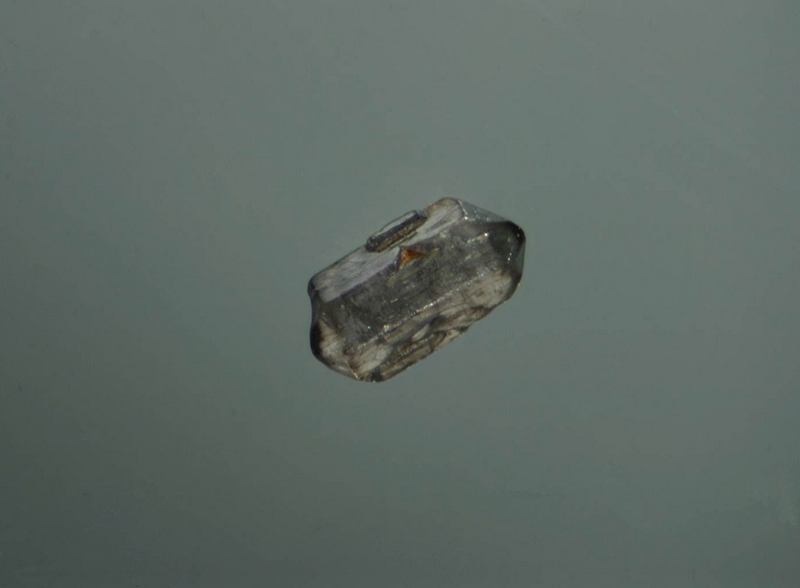 Apatite - La Trentaine - Picherande - Puy de Dôme - JCC - Cristal 1,5 mm.jpg
