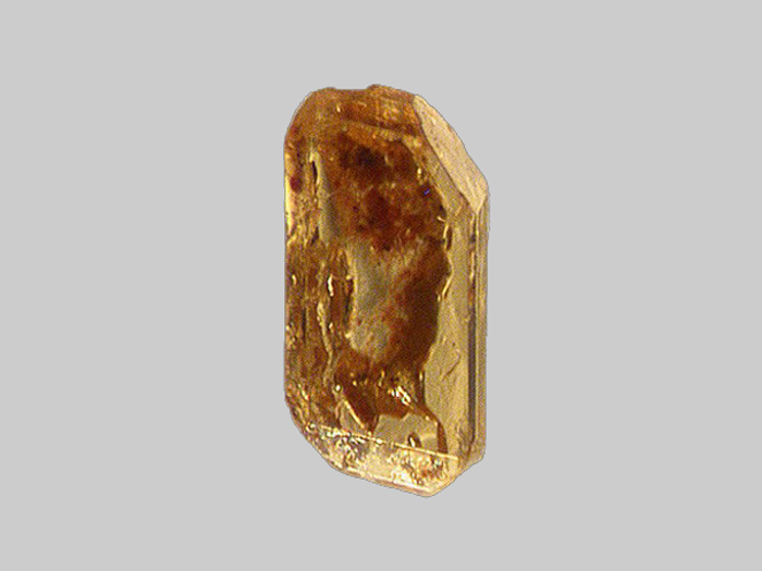 Titanite - Le Rioupéroux - Jollère - Perpezat - Puy-de-Dôme - FP - Taille 0,6mm.jpg