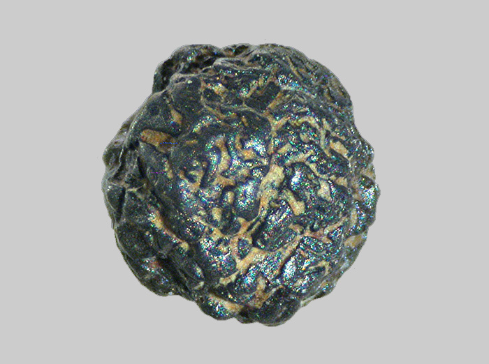 Titano-Magnétite - Riou des Brus - E spaly-Saint-Marcel - Haute-Loire - FP - Taille 1,8mm.jpg