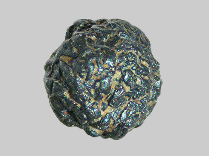 Magnétite titanifère - Riou des Brus - Espaly-Saint-Marcel - Haute-Loire - FP - Taille 1,8mm.jpg