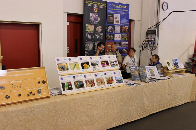 le stand AFM.jpg