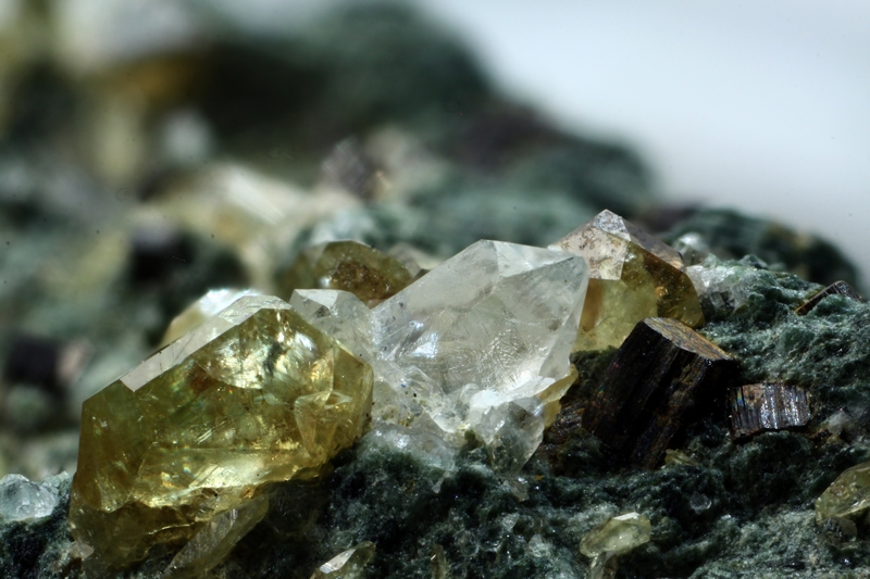 138160-titanite,quartz,pyrite-GB-chp 7,2mm.jpg