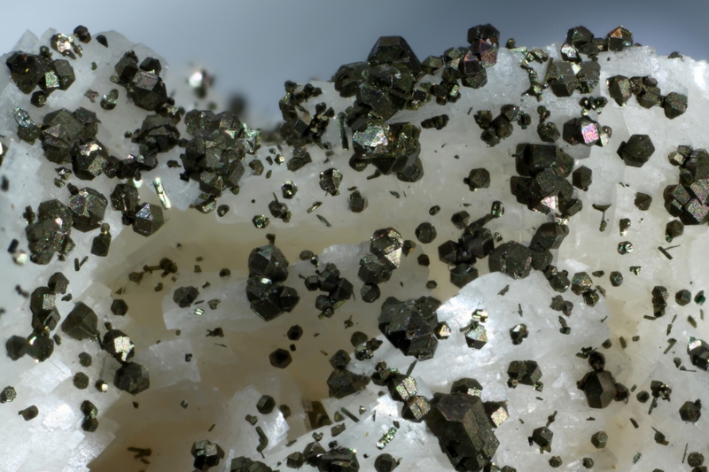 159032-pyrite,marcasite,dolomite-GB-chp 8,4mm.jpg